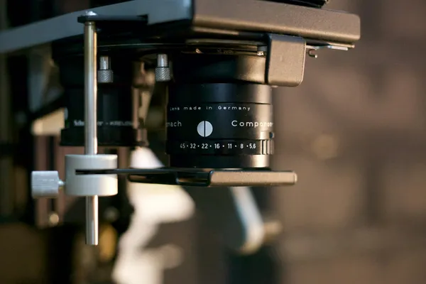 Scaling Video Creation with the Synthesia API: Best Practices for Dynamic Media and Text